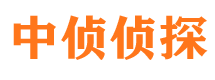 金山屯出轨取证